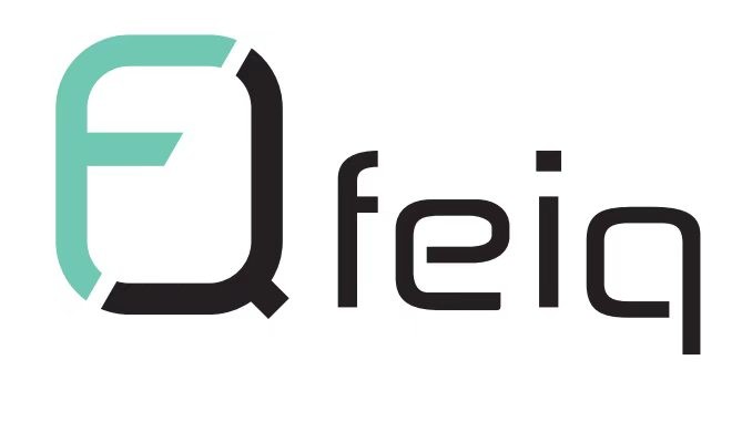 Shanghai Feiqi Technology Co., Ltd.
